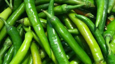 garnishing-instructions-image